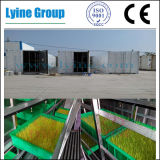 Hydroponic Fodder Germination Container with Free Trays