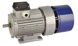 Electromagnetic-Brake Motors