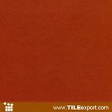 Terracotta Brick Clay Brick Floor Tile (B-K3110)