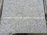 New G636 Granite for Flooring Tiles