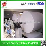 Single PE Coated Paper in Roll