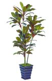 Best Selling Autumn Dracaena Plant 114lvs 8heads