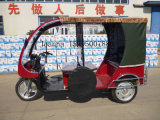 Hot-Sale Electric Tricycle Yd-Borac-02