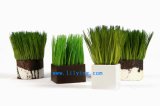Artificial Potted Grass