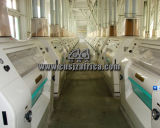 300tpd Wheat Flour Mill Supplier