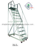 Ladder-Cart (C)