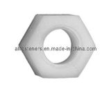 Nylon Hex Jam Nut (GR-NH079)