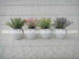 Artificial Plastic Grass Bonsai (C0376)