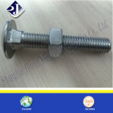 Stainless Steel A2-70 A2-80 Carriage Bolt