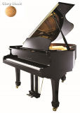 Music Instrument Chloris Luxury Classic Black Polish Grand Piano Hg-168e for Sale