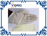 Disposable Glove Latex Glove Powdered Latex Exam Gloves