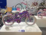 Toys 12 Inch Kids Bike with Assist Wheel (HC-CW-09)