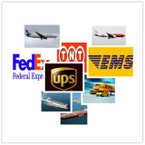 Lowest Logistics Freight Service From China to Yemen