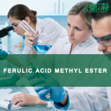 High Purity Ferulic Acid Methyl Ester (CAS: 2309-07-1)