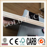 China Cheap Plywood, Film Faced Plywood Used for The Construction