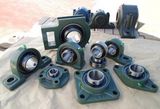 Fkd Bearing/Pillow Block Bearings/Ball Bearings