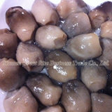 100% Pure Natural Nourishing Canned Straw Mushroom for Recipe