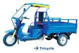 Tricycle (LZX200ZH-7)