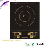 CE GS Approval Electric Induction Cooker (JI-16A1)