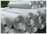 Hot Dipped Galvanized Welded Wire Mesh