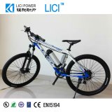 250W Electric Bicycle