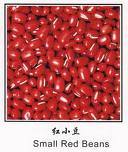 Small Red Kidney Beans (005)
