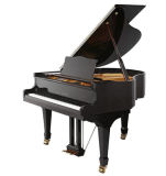 88 Keys Grand Piano/Black Polished Acoustic Silent Piano (HG-158E)
