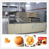 Cake Processing Machinery