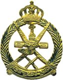 Metal Police Badge with Pin (Tyn0056)