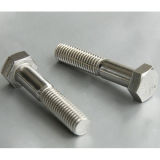 Stainless Steel Hex Bolt with Hex Nut and Washer