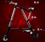 Folding Bicycle (SNLS67)