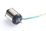 Brushless Motor