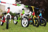 Colorful Kid Toy Bike /Kid Mountain Bicycle	/Baby Bike (AKB-1202)