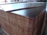1220mm*2400mmexport Waterproof Plywood (manufacturers)