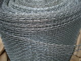 Galvanized/ Stainless Steel Square Wire Mesh