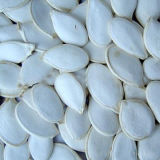 White Pumpkin Seeds - 13cm