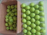 Green Apple