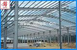 Professional Steel Structure Building with SGS Standard