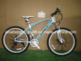 Mountain Bicycle with Best Price& Good Quality (MTB-004)