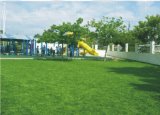 Synthetic Grass For Landscaping (ECM11000)