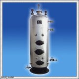 Wood or Coal Fried Pellet Boiler for Hotal (LSG)