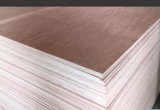 Bb/Cc Grade of Hardwood Plywood