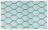 Hexagonal Wire Mesh