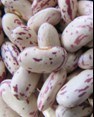 Speckled Kidney Beans (001)