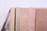 Banyans 18mm Commercial Plywood/Bintanger Veneer Plywood