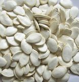 Crop 2015 Snow White Pumpkin Seeds (GH06)