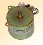 Synchronous Motor (65KTYZ)