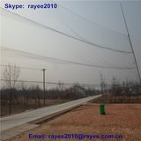 110d/2ply High Quality Plastic Netting, Bird Capture Net