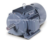 Motor for Blender or Coffee Grinder with CCC Approval