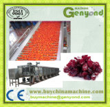 Stainless Steel Sliced Cranberry Drying Machine